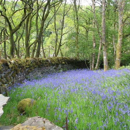 Dolmurgoch Snowdonia Cottage Dolwyddelan Екстериор снимка