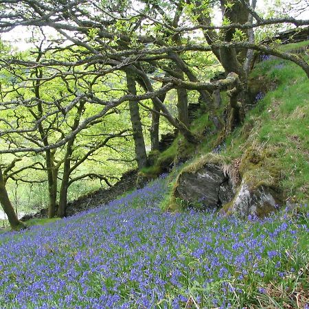 Dolmurgoch Snowdonia Cottage Dolwyddelan Екстериор снимка