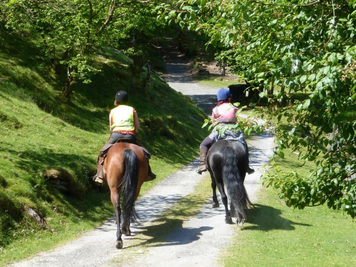 Dolmurgoch Snowdonia Cottage Dolwyddelan Екстериор снимка